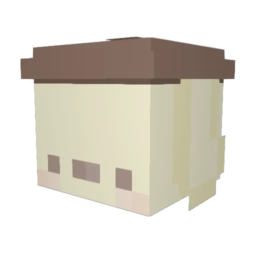 sassypom Minecraft avatar head, 3D render