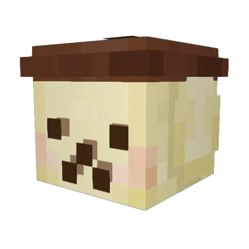 sassysocks99 Minecraft avatar head, 3D render