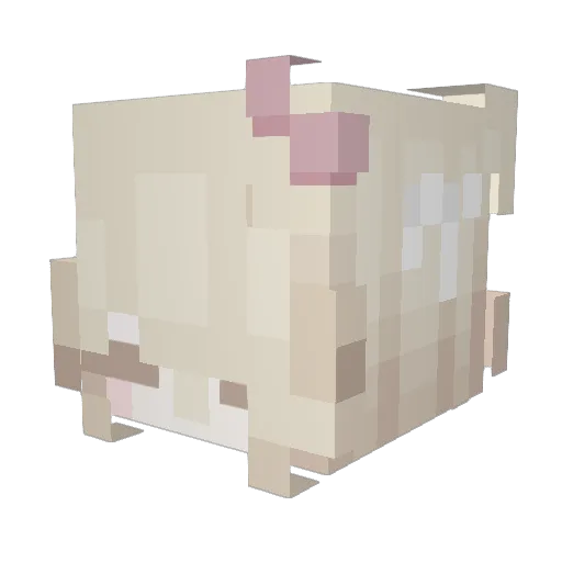 sasxla Minecraft avatar head, 3D render