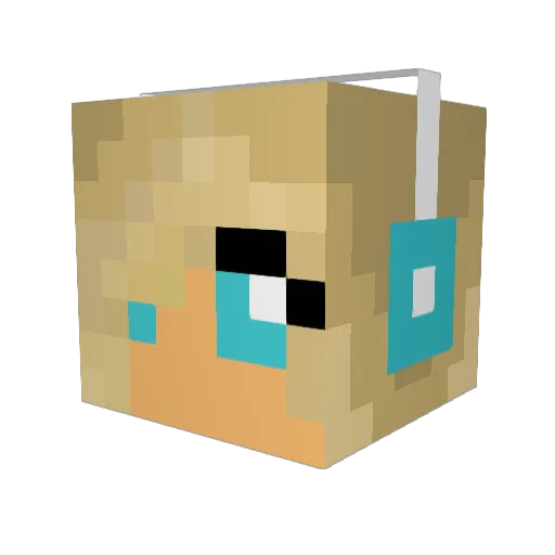 sat107 Minecraft avatar head, 3D render