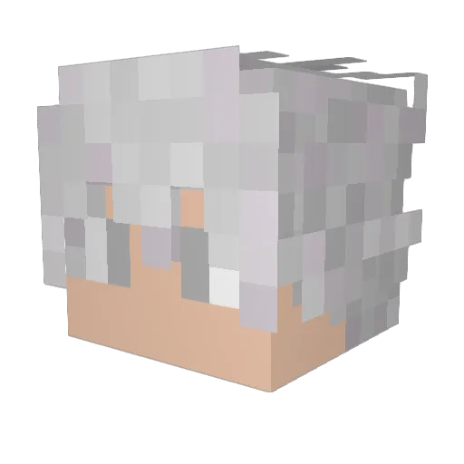 satashy Minecraft avatar head, 3D render