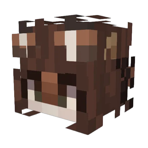 satellor Minecraft avatar head, 3D render