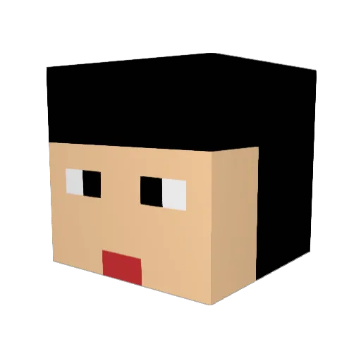 saterh12 Minecraft avatar head, 3D render
