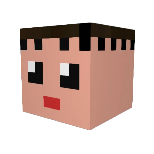 satisuke Minecraft avatar head, 3D render