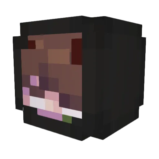satqnas Minecraft avatar head, 3D render