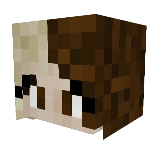saturnhouse Minecraft avatar head, 3D render