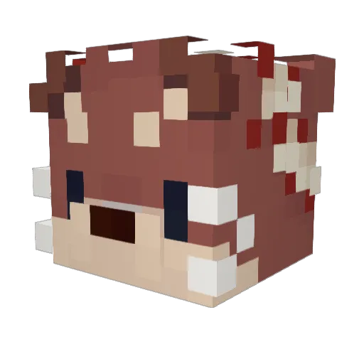 saturnplanets Minecraft avatar head, 3D render