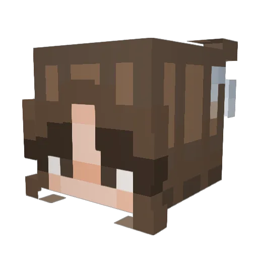 saturnscats Minecraft avatar head, 3D render
