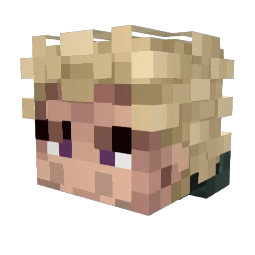 saucegod100 Minecraft avatar head, 3D render