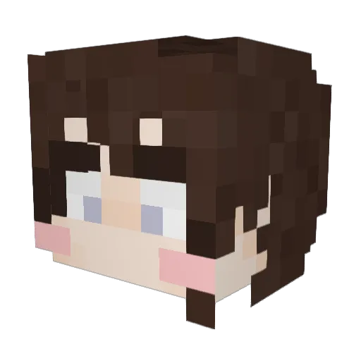 saucepanchan Minecraft avatar head, 3D render