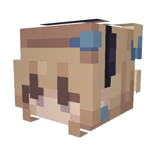 saucewron Minecraft avatar head, 3D render
