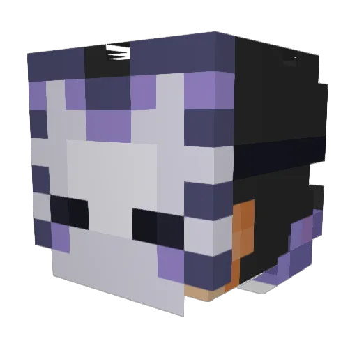 saucie_slizzard Minecraft avatar head, 3D render