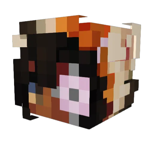 saucychicken_ Minecraft avatar head, 3D render