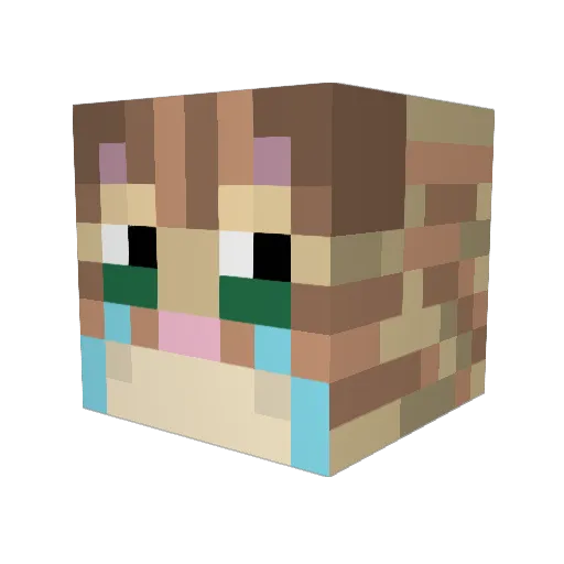 saucymadethat Minecraft avatar head, 3D render