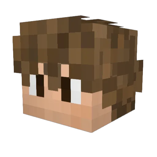 sausas Minecraft avatar head, 3D render