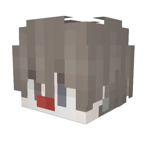sauvageee Minecraft avatar head, 3D render