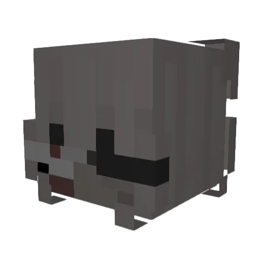 savaarii_ Minecraft avatar head, 3D render