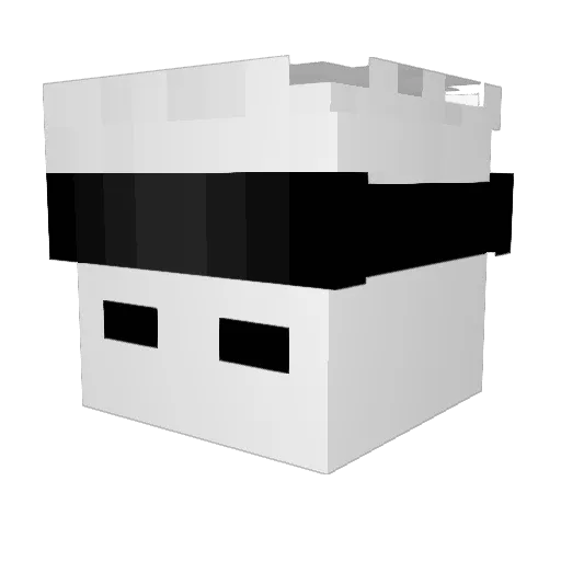 savagebacon2829 Minecraft avatar head, 3D render