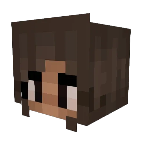 savagefruits Minecraft avatar head, 3D render