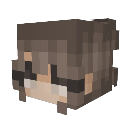 savagewolf370 Minecraft avatar head, 3D render