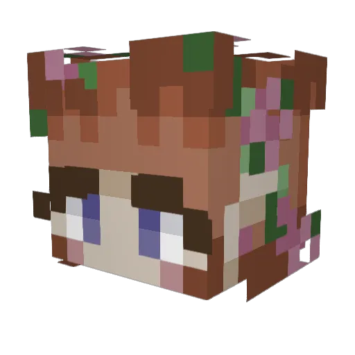 savannahleigh27 Minecraft avatar head, 3D render