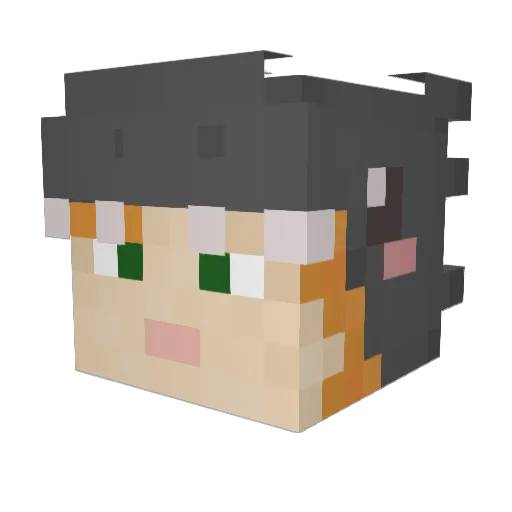 savaqes Minecraft avatar head, 3D render