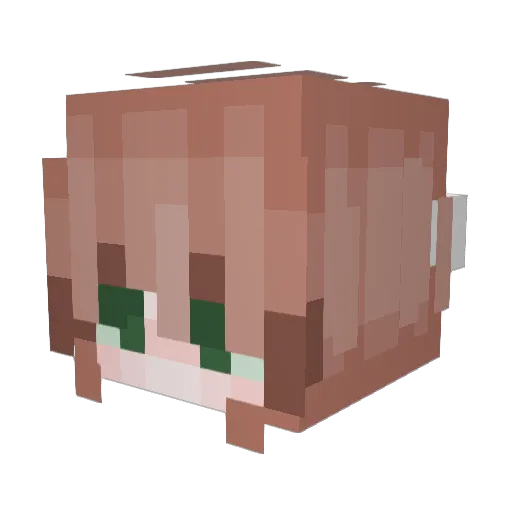 savashine Minecraft avatar head, 3D render
