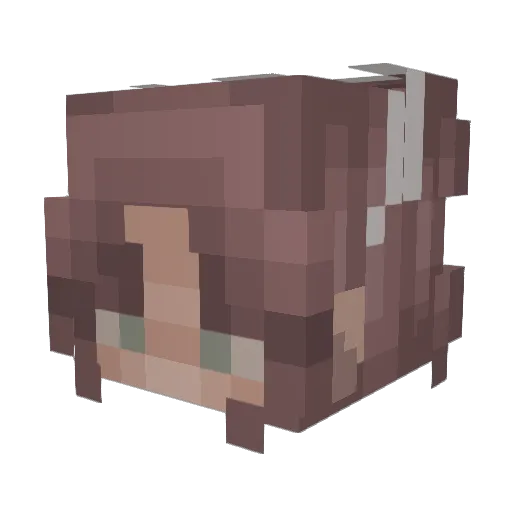 savehisbee Minecraft avatar head, 3D render