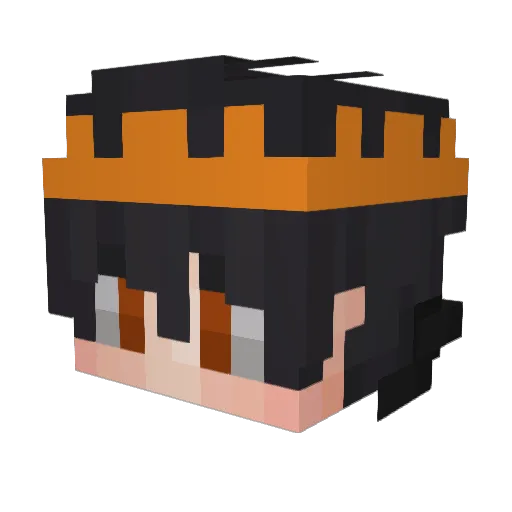 saveit_ Minecraft avatar head, 3D render