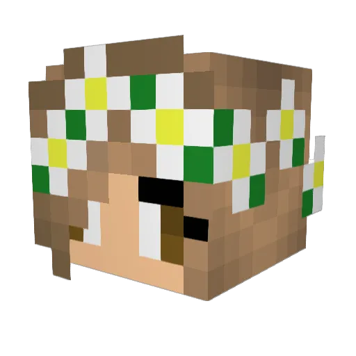 saveliy555555 Minecraft avatar head, 3D render