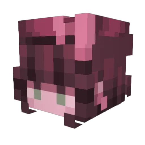 savellagrace Minecraft avatar head, 3D render