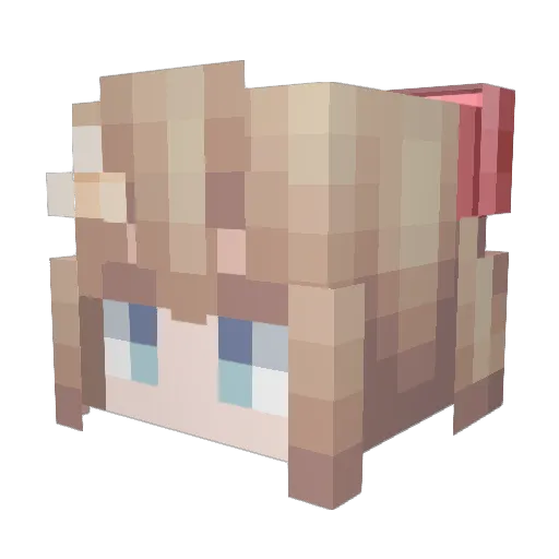 savemekill_ Minecraft avatar head, 3D render