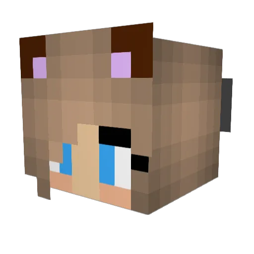savingxXsavy Minecraft avatar head, 3D render