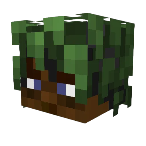 savion2307 Minecraft avatar head, 3D render