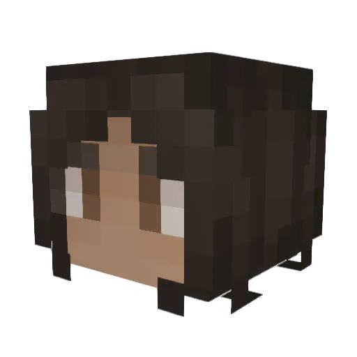 savjulia Minecraft avatar head, 3D render