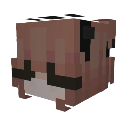 savrise Minecraft avatar head, 3D render