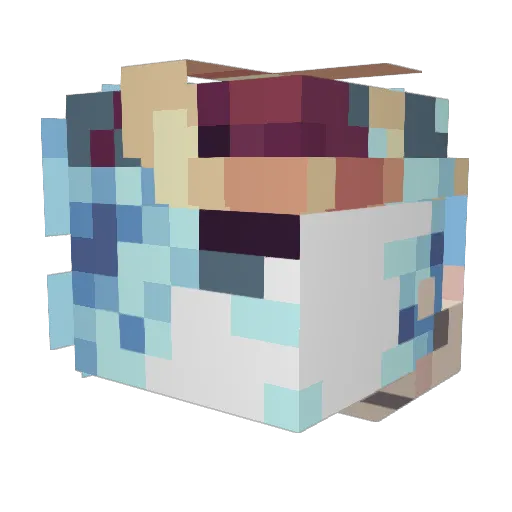 savscool Minecraft avatar head, 3D render