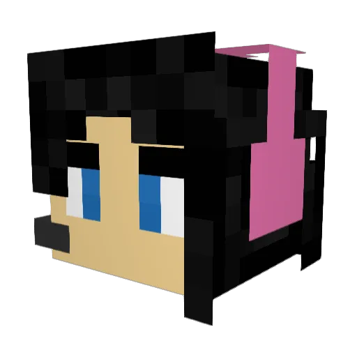 savv123456789 Minecraft avatar head, 3D render