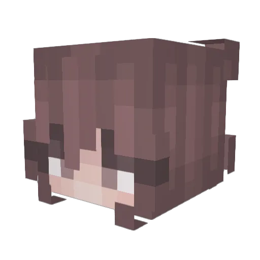 savvy1316 Minecraft avatar head, 3D render