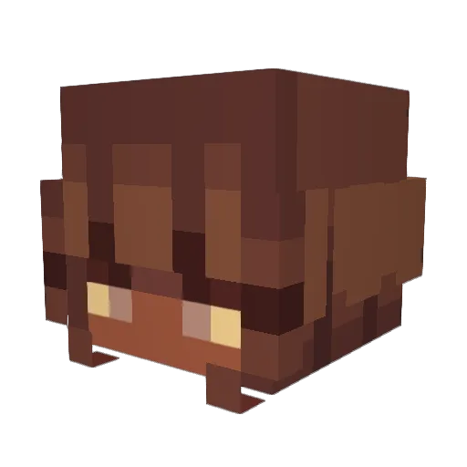savvysannn Minecraft avatar head, 3D render