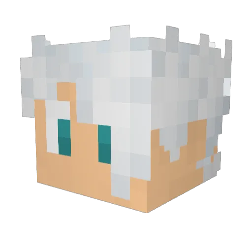 savy919 Minecraft avatar head, 3D render