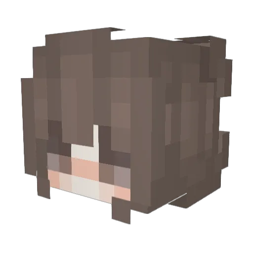 saw_whet_owl Minecraft avatar head, 3D render