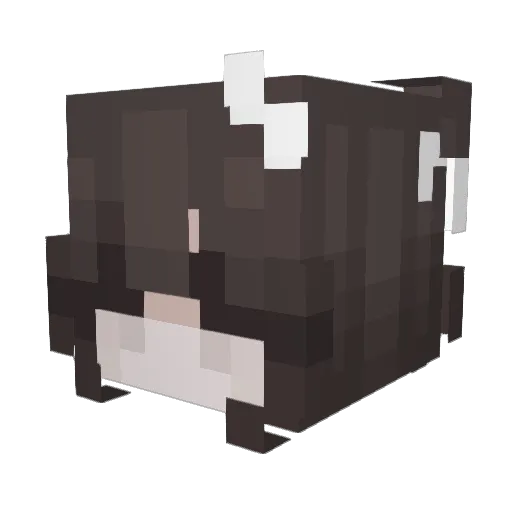 sawaruu Minecraft avatar head, 3D render