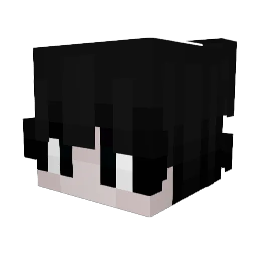 sawedoffbilly Minecraft avatar head, 3D render