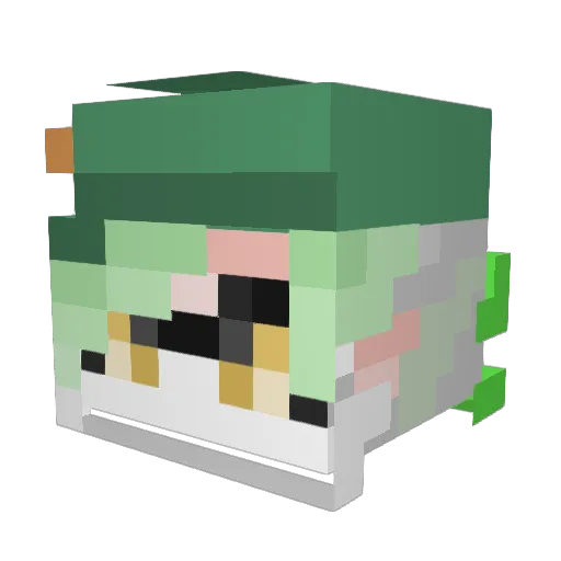 sawms Minecraft avatar head, 3D render