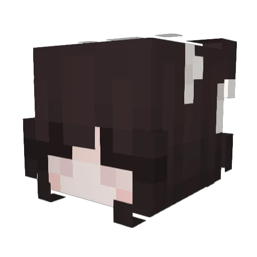 sawnocap Minecraft avatar head, 3D render