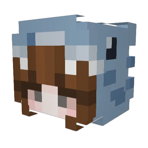 sawshuh Minecraft avatar head, 3D render