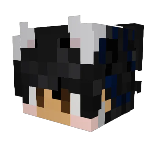 sawyer232 Minecraft avatar head, 3D render