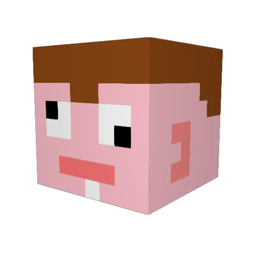 sawyer5050 Minecraft avatar head, 3D render