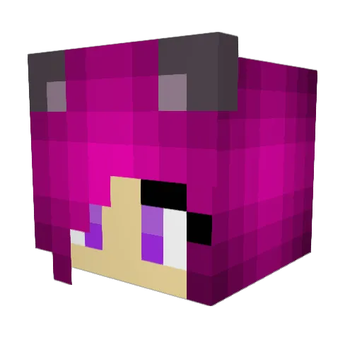 saxon411 Minecraft avatar head, 3D render